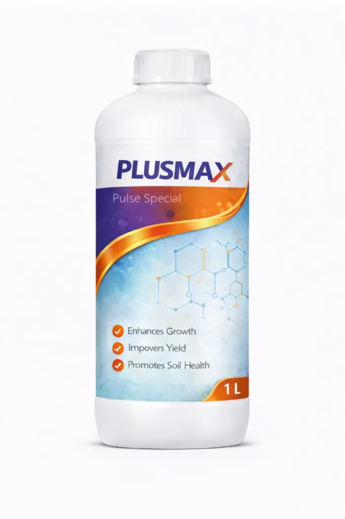JK PLUSMAX