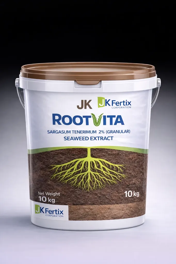JK Root Vita