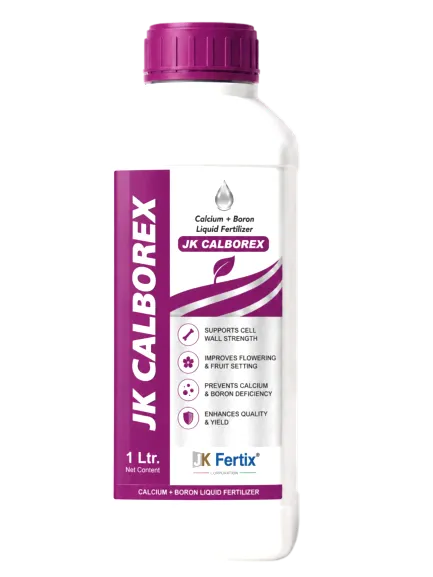 JK CALBOREX
